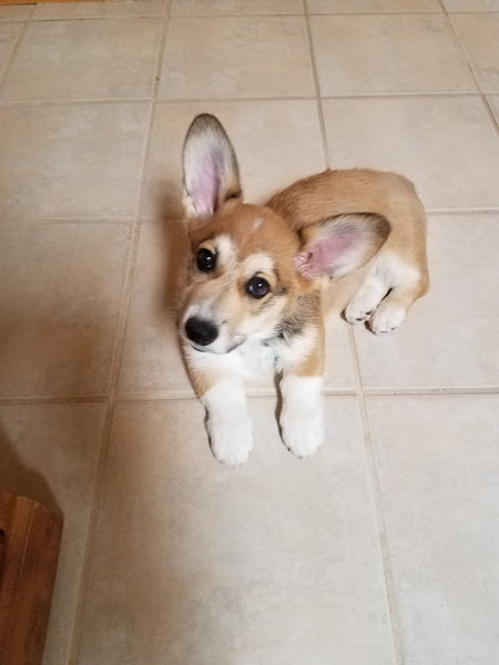 Hamish - March 30, 2022 Are You Looking at Me?