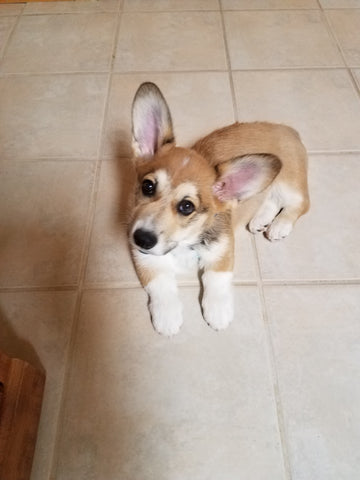 Hamish - March 30, 2022 Are You Looking at Me?