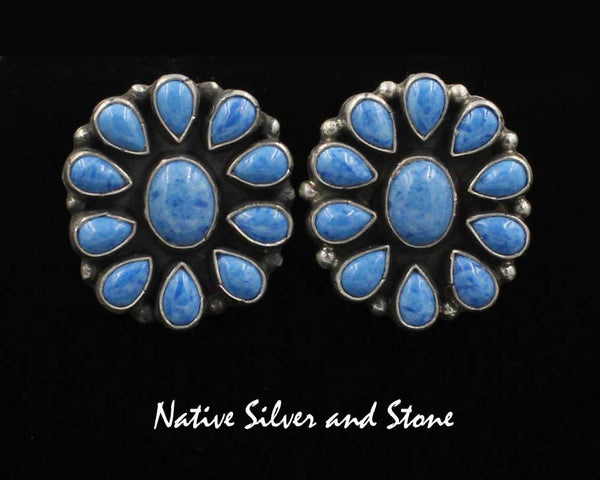 Z Kee C Cook - Navajo<br>1" Earrings<br>Ovals with<br>Denim Lapis Clusters<br>Post<br>Sterling Silver