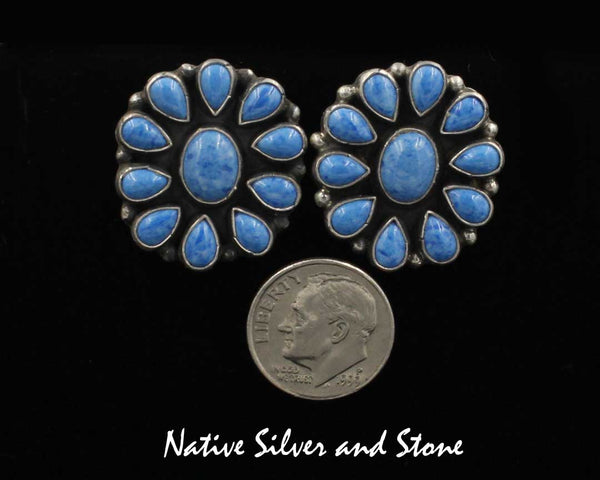 Z Kee C Cook - Navajo<br>1" Earrings<br>Ovals with<br>Denim Lapis Clusters<br>Post<br>Sterling Silver